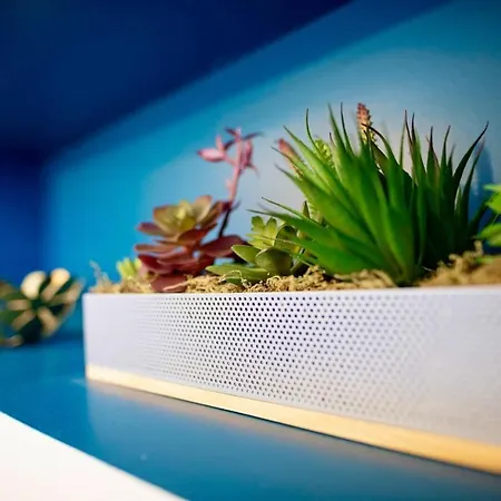 Tiny Stud Апартаменты По