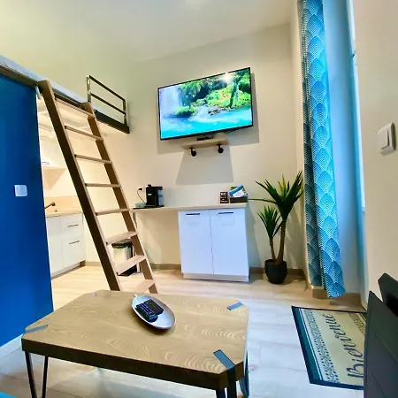 Tiny Stud Apartament Pau