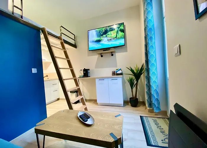 Tiny Stud Appartamento Pau